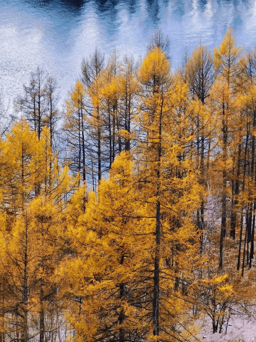 阿尔山旅游攻略必玩的景点