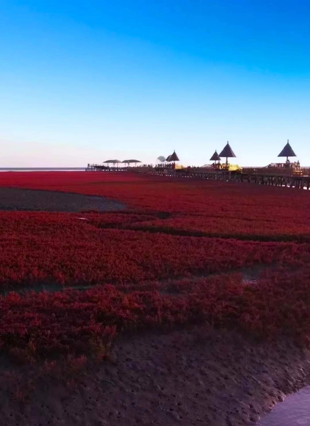 盘锦旅游攻略必去景点推荐-盘锦旅游攻略必玩的景点