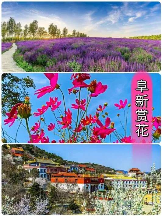 阜新旅游景点有哪些-阜新旅游攻略线路规划