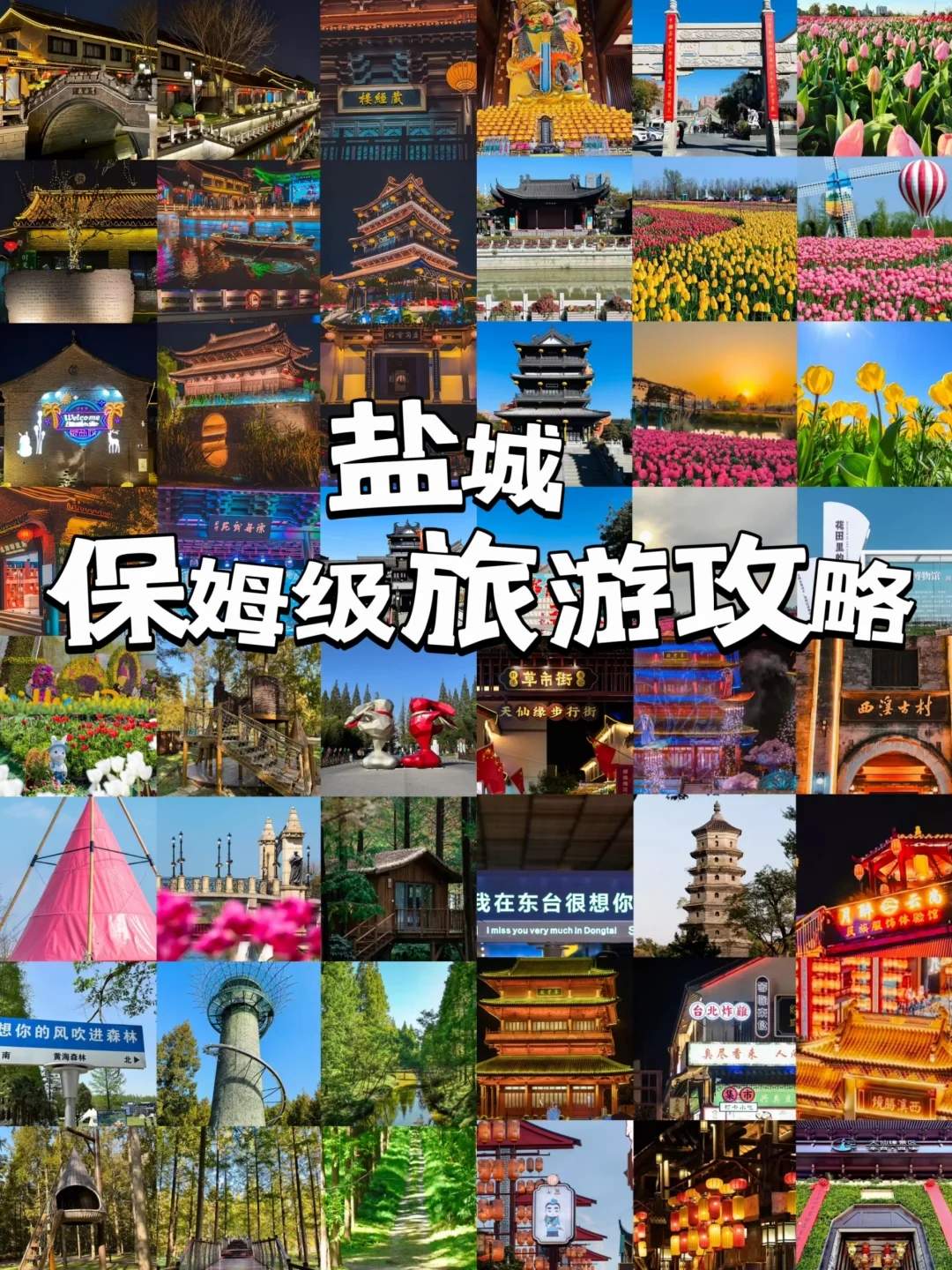 盐城旅游必去十大景点推荐-盐城旅游攻略必去景点推荐