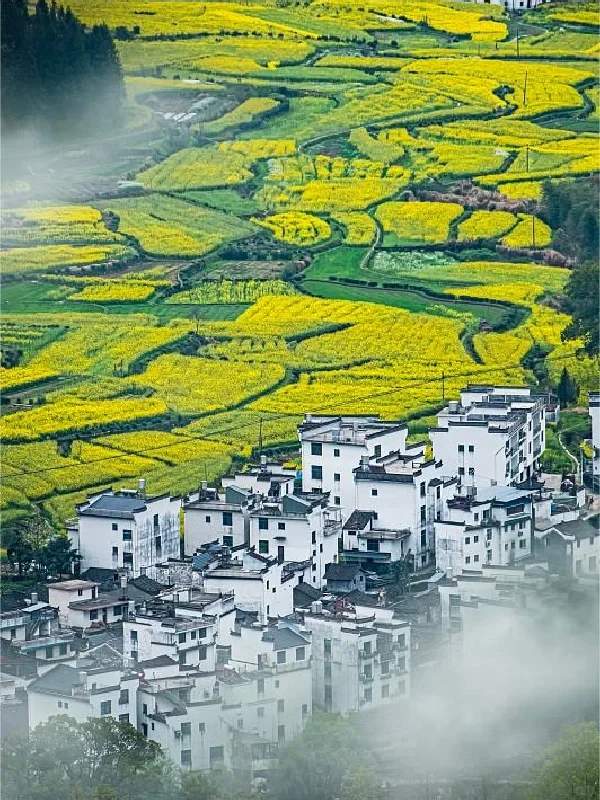 上饶旅游必去十大景点-上饶旅游攻略自由行