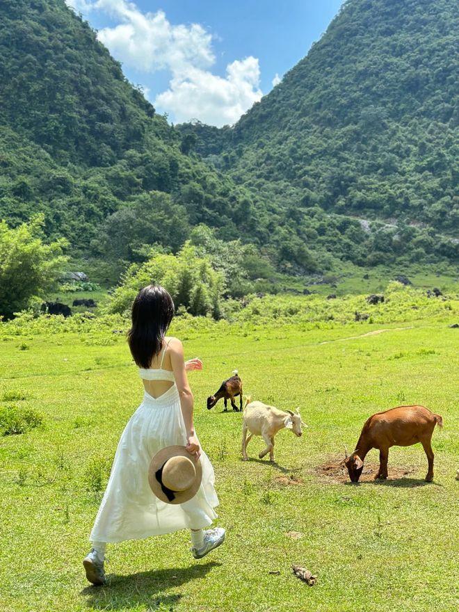 两个人去柳州旅游3天多少钱，柳州旅游优惠活动攻略，景点+路线