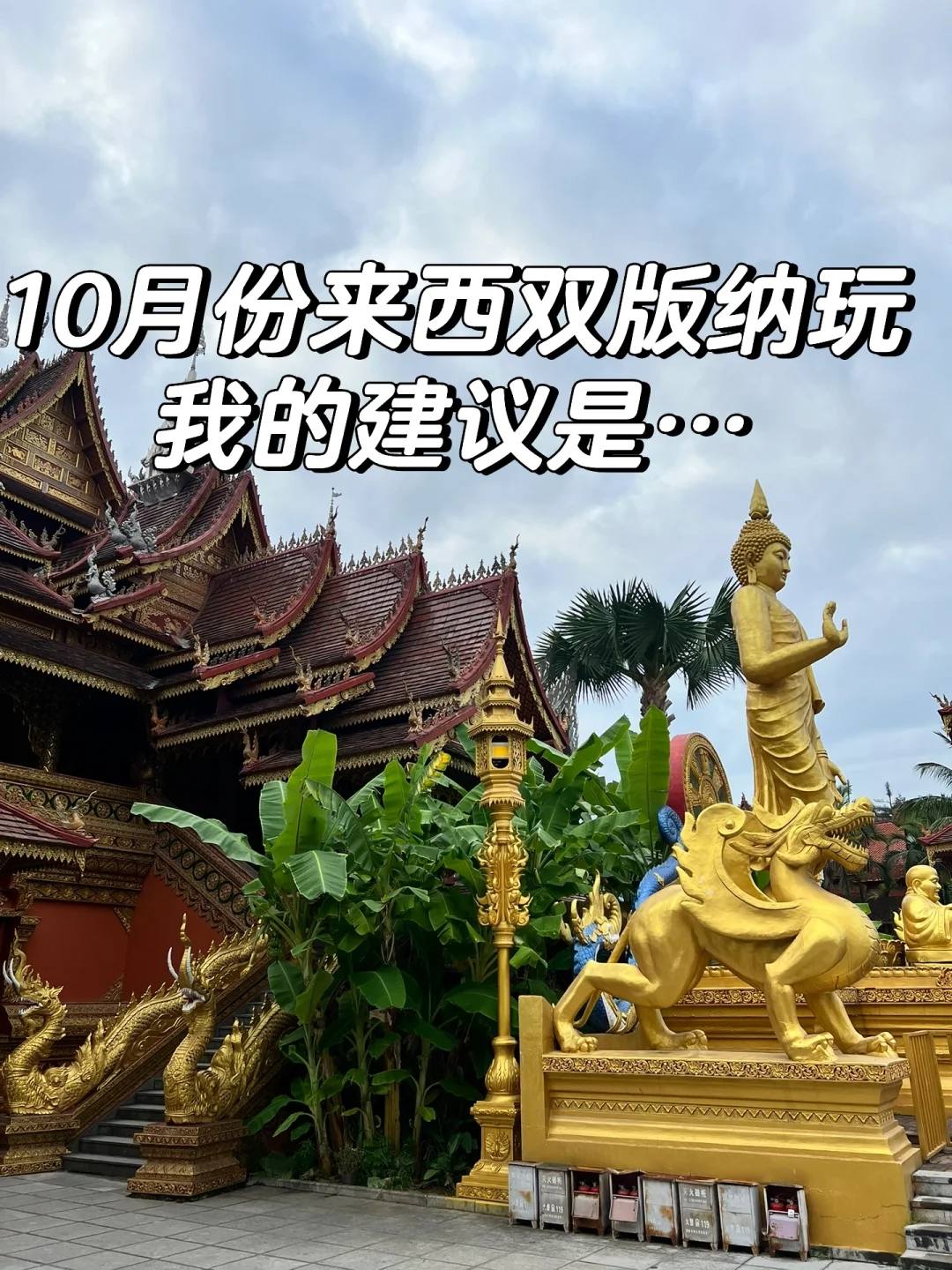 10月去西双版纳合适吗，西双版纳*路线+避雷旅游攻略 ，快收藏