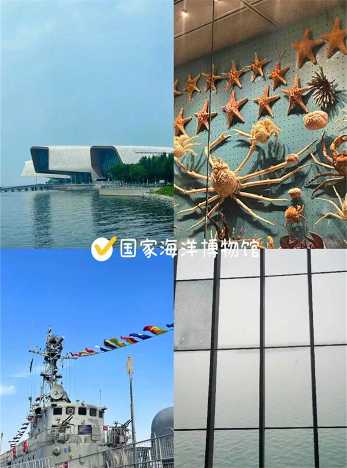 天津滨海新区旅游攻略 必玩的景点，看海•看日出•蓝眼泪合集